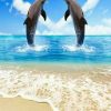Pin Von Mascha Lorenz Auf Delphine (Mit Bildern) | Ozean ganzes Delphine Bilder Kostenlos