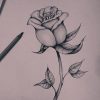 Pin Von Michelle Olah Auf Zeichnungen In 2020 | Blumen innen Bleistiftzeichnungen Blumen