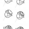 Pin Von Mimi Hadeln Auf Draw (Mit Bildern in Rosen Zeichnen Anleitung