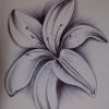 Pin Von Steffi Scheu Auf Zeichnungen (Mit Bildern) | Blumen für Bleistiftzeichnungen Blumen