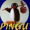 Pingu! 17 Fakten Über Den Wohl Beliebtesten Vogel Der bestimmt für Pingu Deutsch