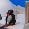 Pingu Und Das Ding | Was Is Hier Eigentlich Los ganzes Pingu Website
