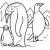 Pinguin Ausmalbilder In 2020 | Malvorlagen Für Kinder innen Ausmalbilder Pinguine