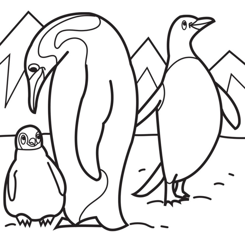 Pinguin Ausmalbilder In 2020 | Malvorlagen Für Kinder innen