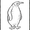 Pinguin - Kiddimalseite mit Pinguin Malvorlage