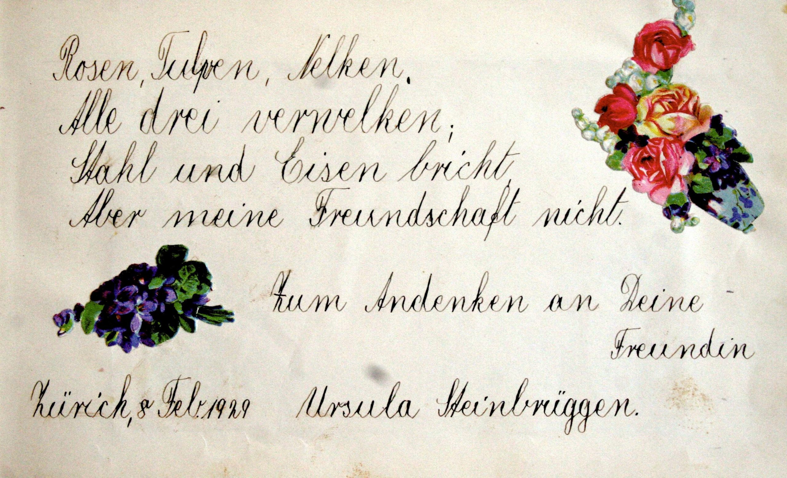 Poesiespruch: Rosen, Tulpen, Nelken. Alle Drei Verwelken in Sprüche Für Poesiealbum Freundschaft