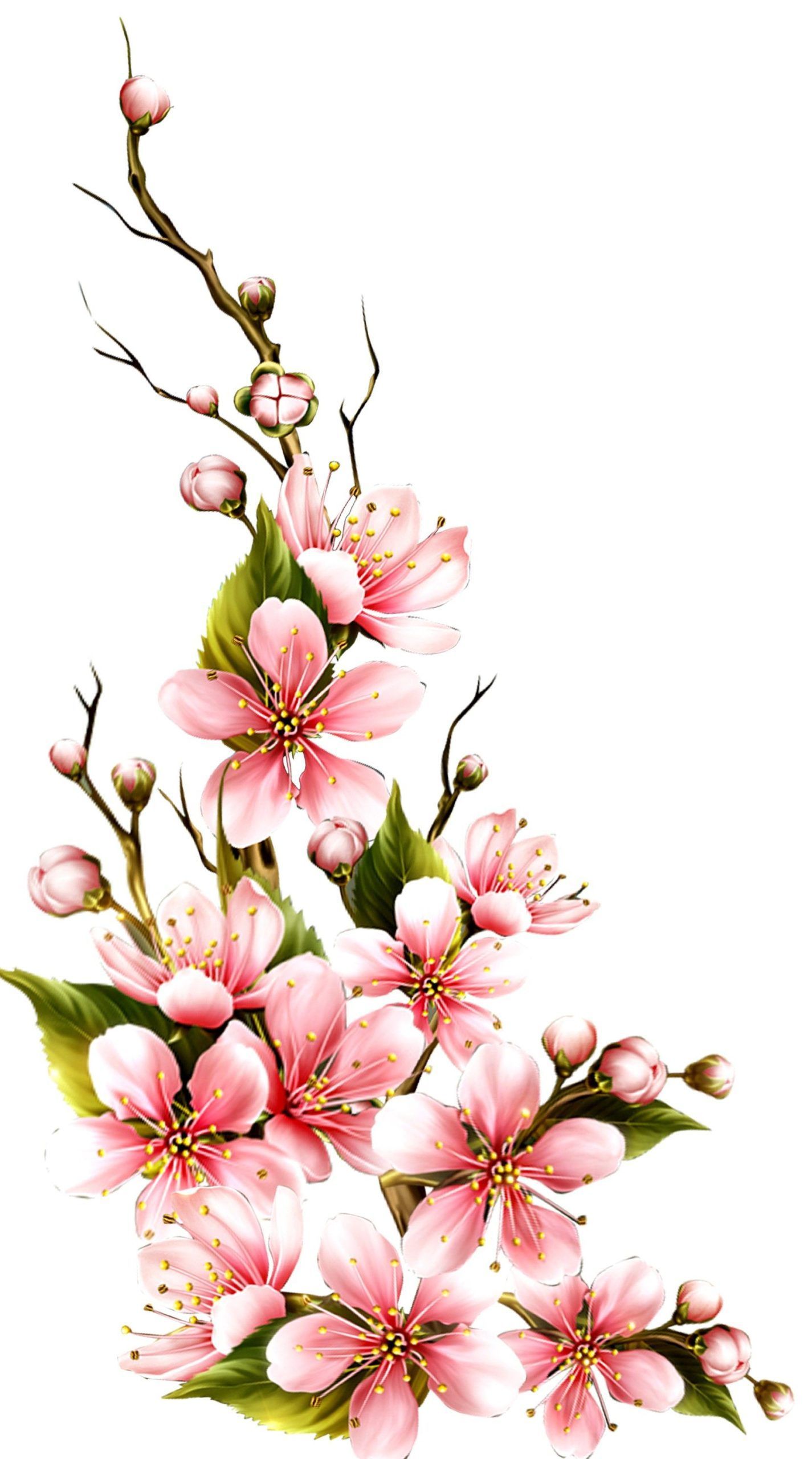 Post_Tags] In 2020 | Botanical Flower Art, Flower Drawing innen Blumenranke Malen