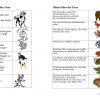 Rätsel Über Die Tiere - Deutsch Daf Arbeitsblatter für Kinderrätsel Tiere