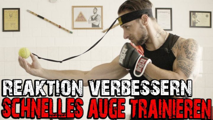 Reaktion / Schnelligkeit / Abhärtung Mit Nur Einem Trainingsgerät  Verbessern | Kampfkunst Lifestyle ganzes Wie Kann Man Seine Reflexe Trainieren