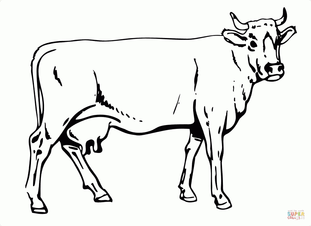 Rinder Ausmalbilder #ausmalbilder #rinder | Kuh Bilder mit Kuh Malvorlage