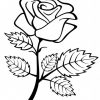 Rose Ausmalbilder. Drucken Sie Die Blumenkönigin Online über Rose Malvorlage