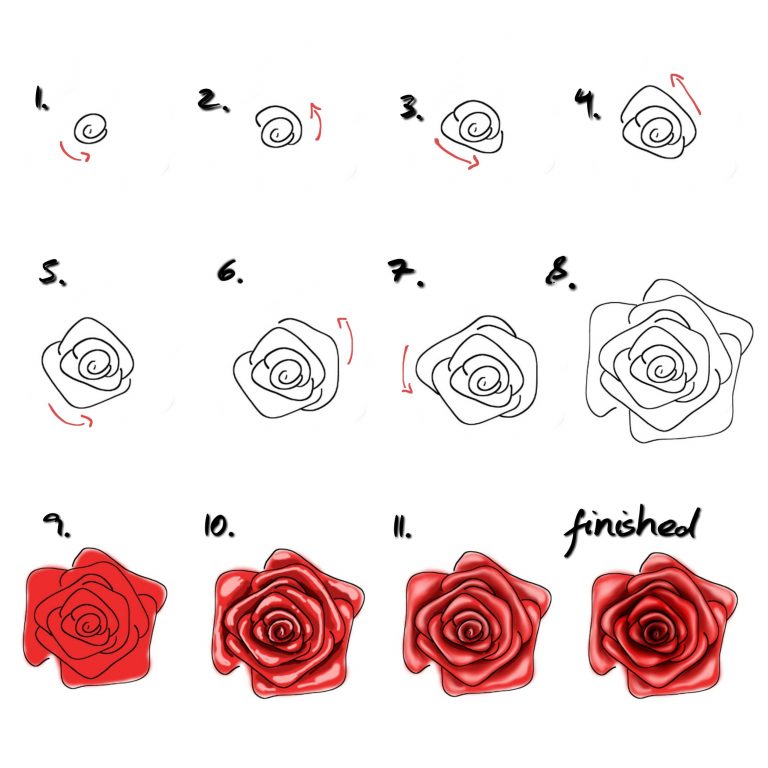 Rose Malen Für Anfänger - Einfaches Tutorial/ Malen Lernen bei Bilder