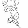 Rote Rose Zum Selbst Ausmalen - Nadines Ausmalbilder bestimmt für Rose Ausmalbild