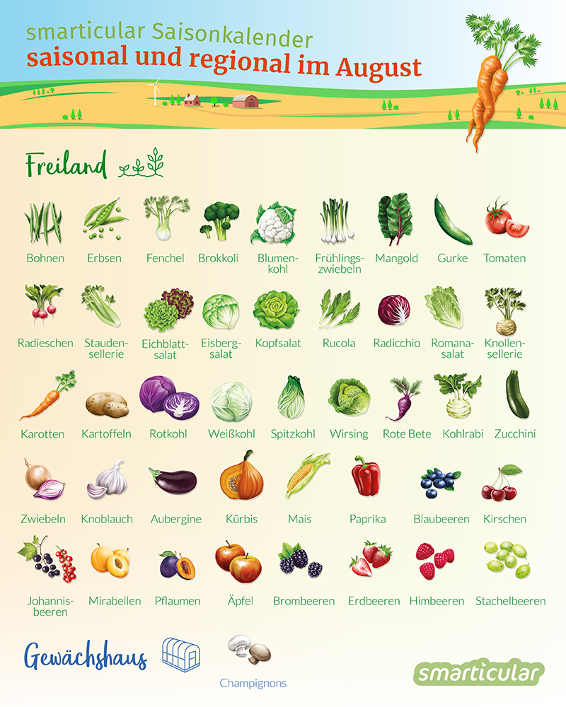 Saisonkalender August - Obst Und Gemüse Regional Und bestimmt für Bilder Obst Und Gemüse Zum Ausdrucken