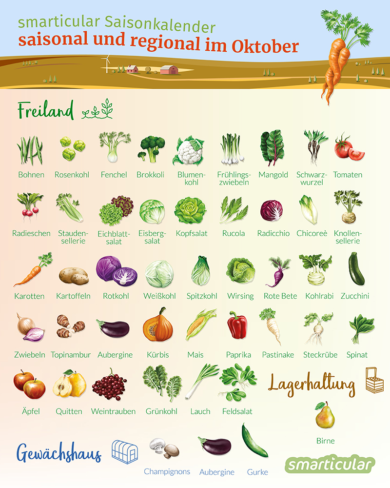 Saisonkalender Oktober - Obst Und Gemüse Regional Und mit Bilder Obst Und Gemüse Zum Ausdrucken