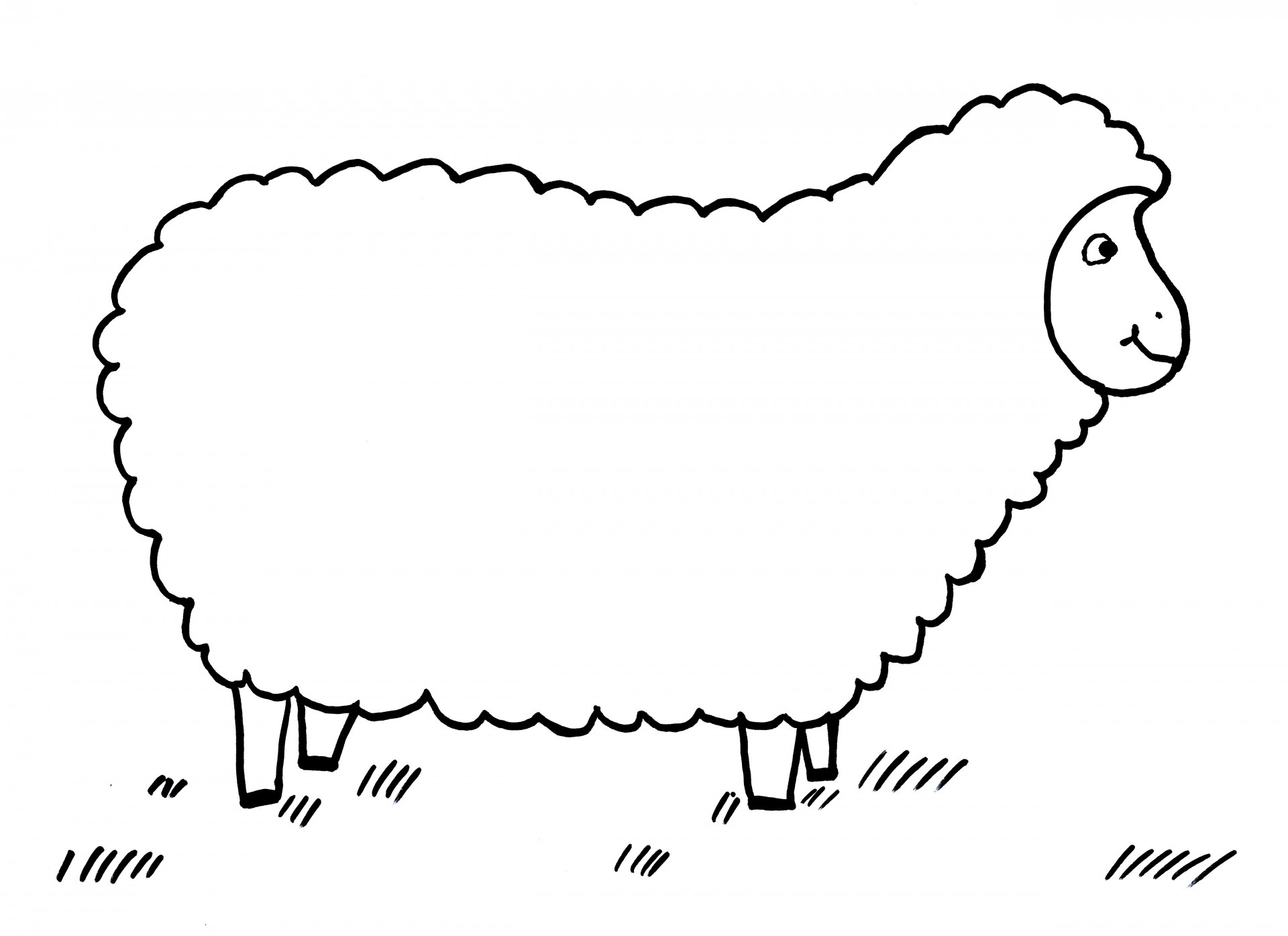 Schafe Zum Ausmalen – Schafsnase ganzes Schafe Ausmalbilder