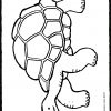 Schildkröte - Kiddimalseite verwandt mit Bastelvorlage Schildkröte