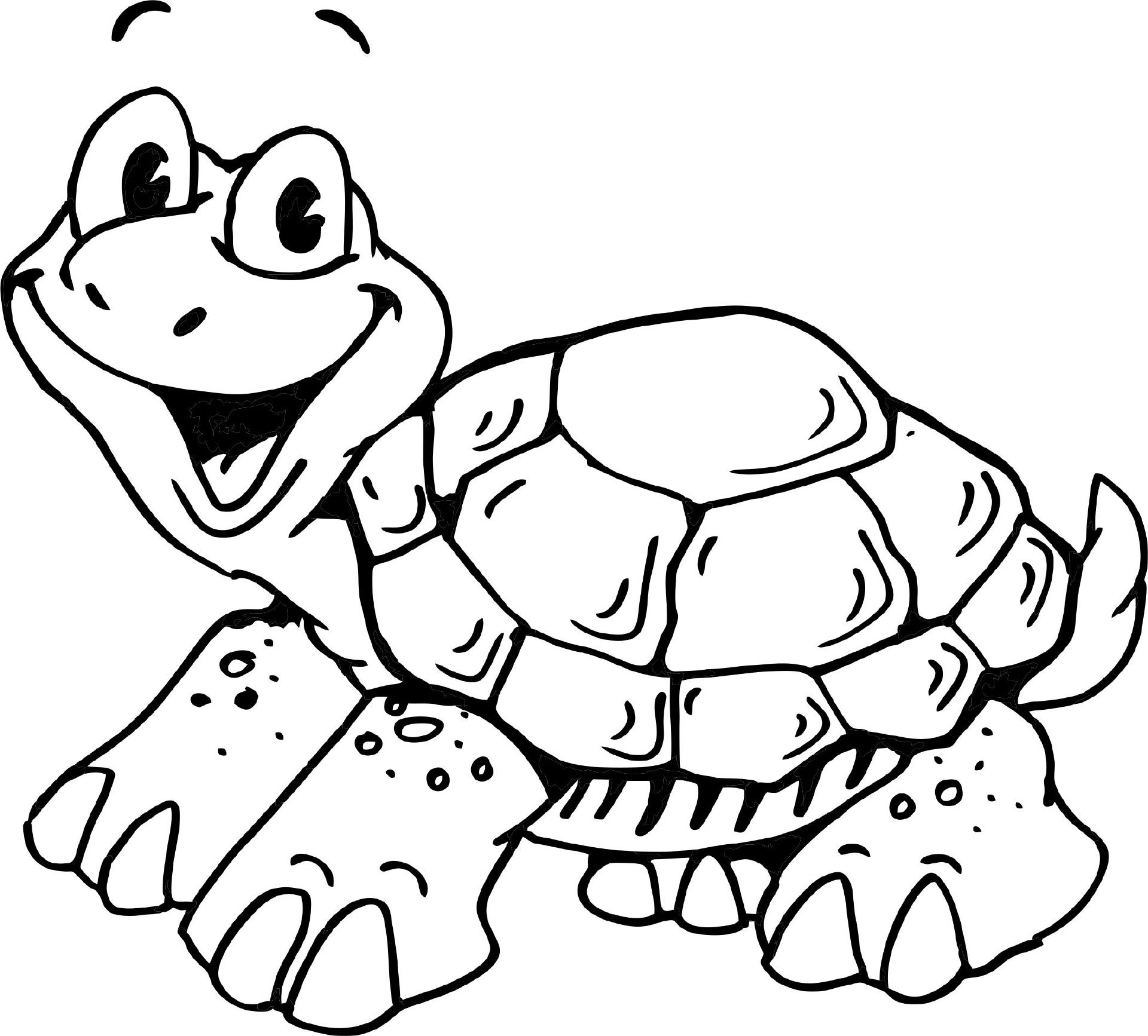 Schildkröte (Mit Bildern) | Ausmalbilder Schildkröte bestimmt für Schildkröte Ausmalbild