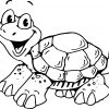 Schildkröte (Mit Bildern) | Ausmalbilder Schildkröte für Bastelvorlage Schildkröte