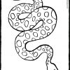 Schlange - Kiddimalseite verwandt mit Schlangen Ausmalbilder