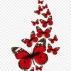 Schmetterling Clip Art - Rote Schmetterlinge Vektor Png innen Schmetterlinge Clipart