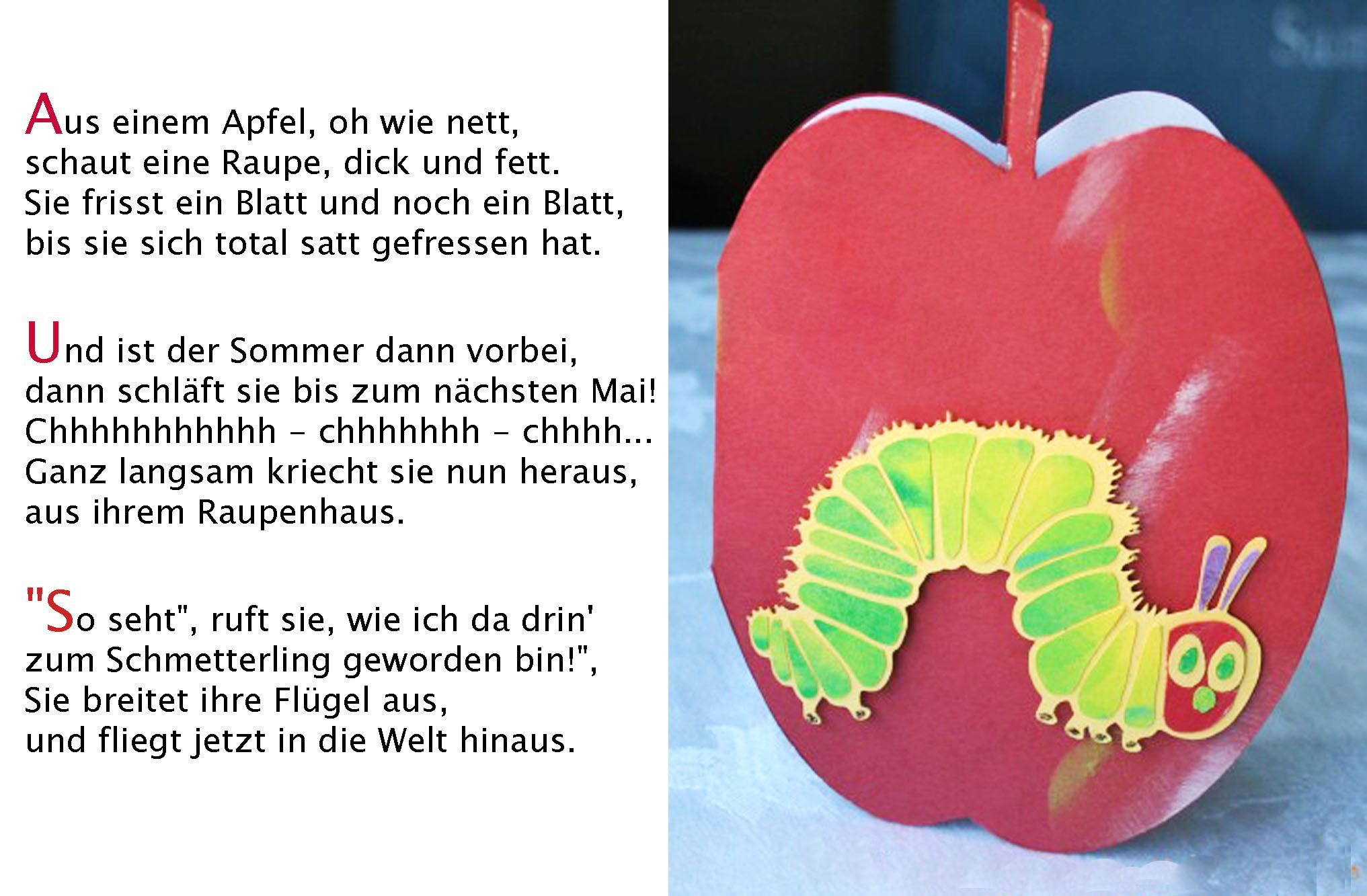 Schmetterling Kleine Raupe Nimmersatt Kindergarten ganzes Von Der Raupe Zum Schmetterling Kindergarten
