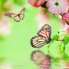 Schmetterlinge Und Blumen Im Fruhling | Ipad Air Hintergrund mit Hintergrundbilder Blumen Und Schmetterlinge