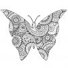 Schmetterlinge Und Insekten 46683 - Schmetterlinge Und innen Schmetterlinge Insekten
