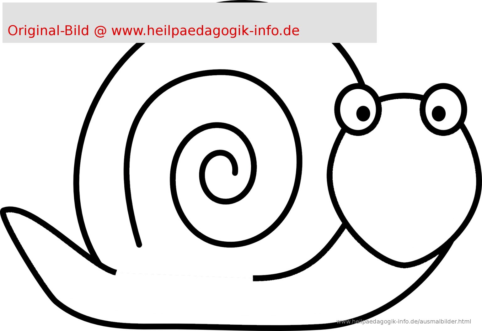 Schnecke Ausmalbild - kinderbilder.download | kinderbilder.download