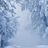 Schneenichts Als Schnee (Mit Bildern) | Landschaft verwandt mit Winterbilder Zum Ausdrucken