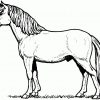 Schoenes Pony Ausmalbild &amp; Malvorlage (Tiere) ganzes Pony Ausmalbild