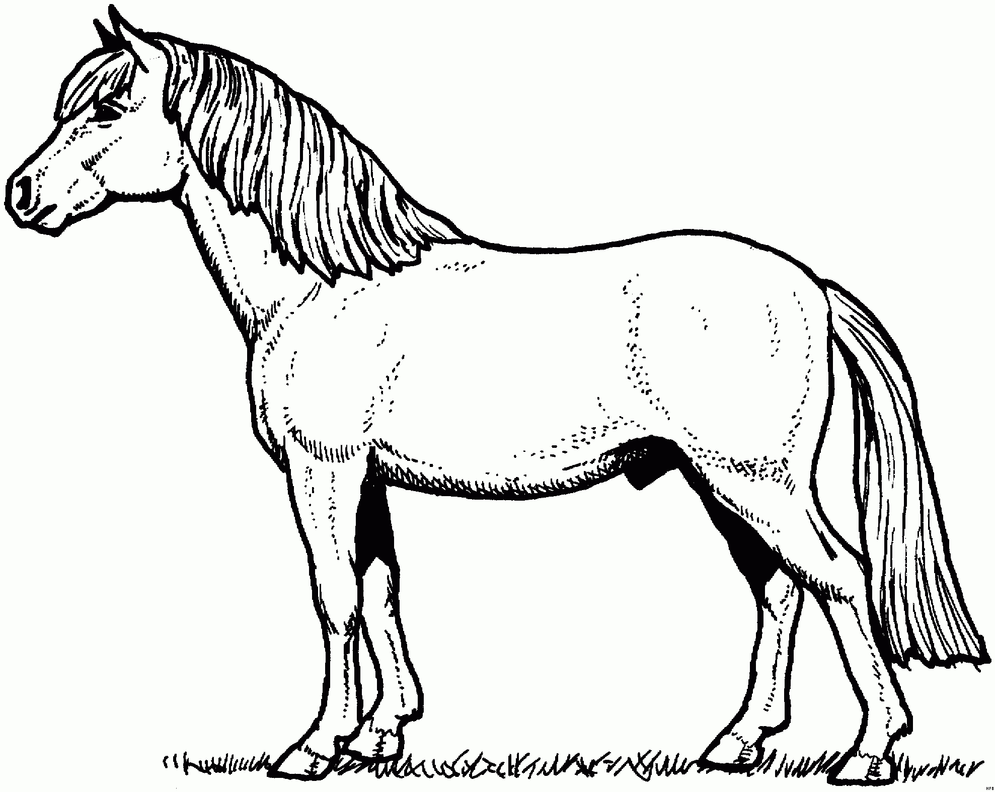 Schoenes Pony Ausmalbild &amp; Malvorlage (Tiere) ganzes Pony Ausmalbild