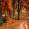 Schöne Herbstbilder Kostenlos in Schöne Herbstbilder Kostenlos