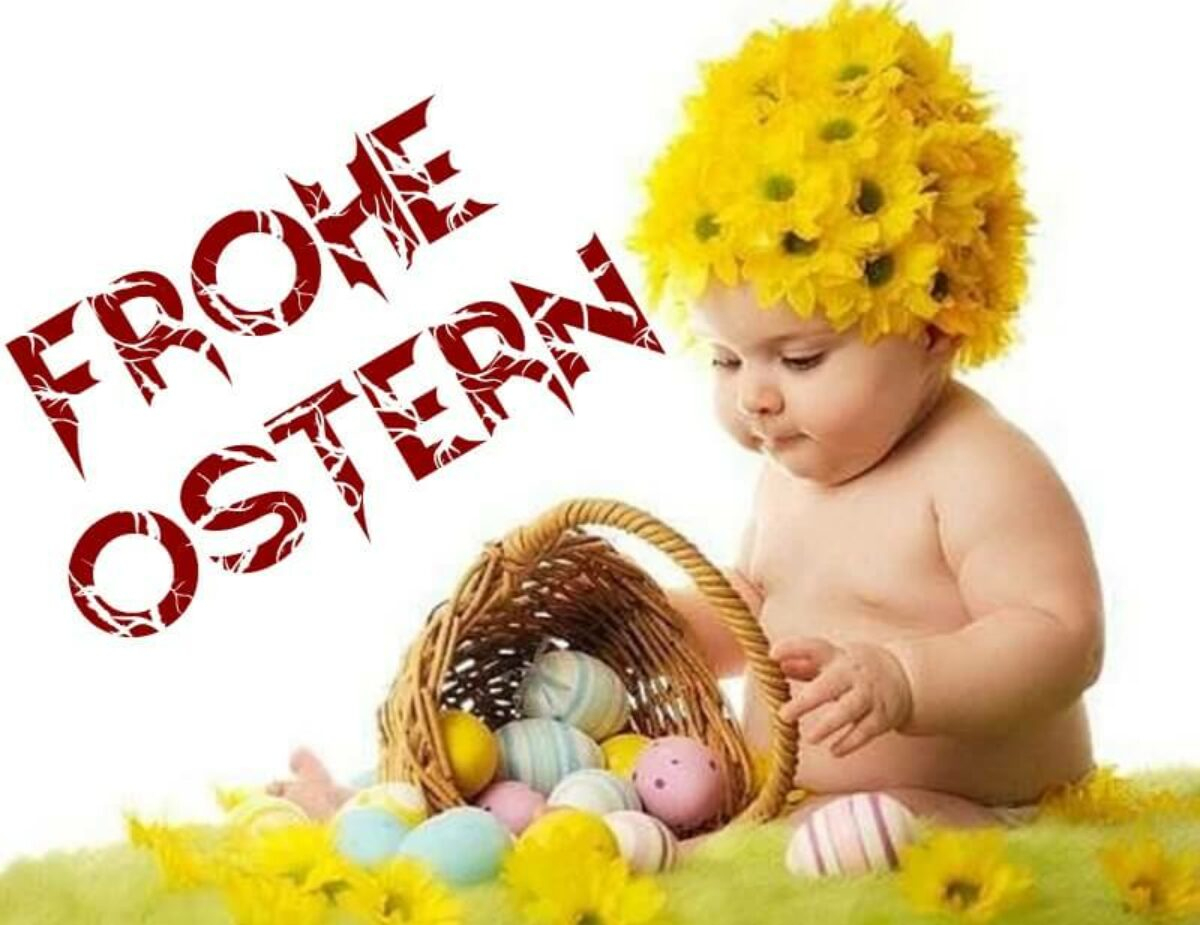Schöne Lustige Osterbilder | Frohe Ostern Bilder 2020 Kostenlos bei Osterbilder Kostenlos