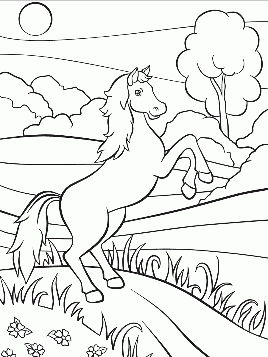 pferde zum abpausen  kinderbilderdownload  kinderbilder