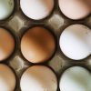 Sind Braune Eier Besser Als Weiße? - Food - Bento in Unterschied Weisse Und Braune Hühnereier