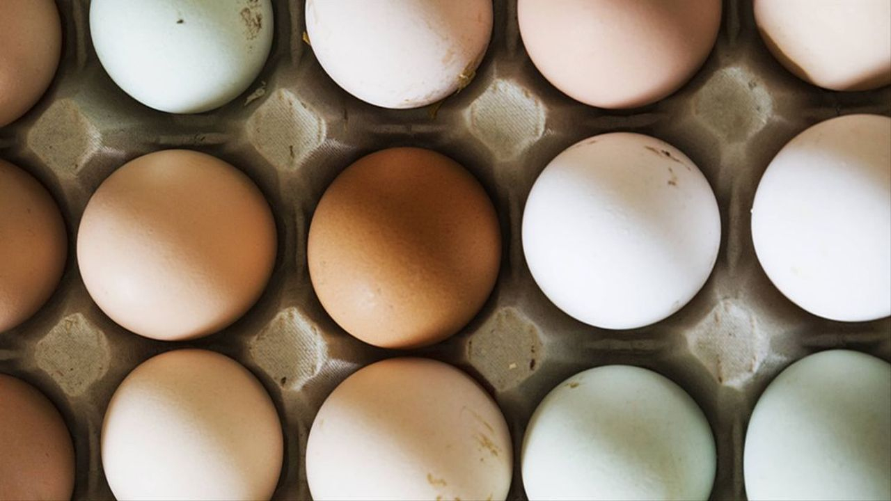 Sind Braune Eier Besser Als Weiße? - Food - Bento in Unterschied Weisse Und Braune Hühnereier
