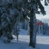 Skigebiet Feldberg, Schwarzwald | Skiurlaub Im Familienhotel für Winterurlaub Im Schwarzwald Mit Kindern