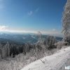 Skiurlaub Mit Kindern: Unsere Tipps Fürs Winterwandern für Winterurlaub Im Schwarzwald Mit Kindern