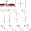 So Zeichnen Sie Tulpen - Anleitung Zum Zeichnen Von Tulpen innen Tulpe Zeichnen