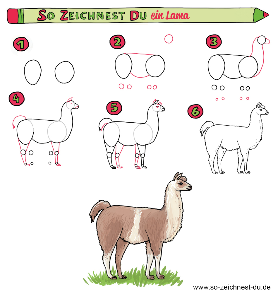 So Zeichnest Du Ein Lama - So Zeichnest Du Die Zeichenschule innen Tiere Einfach Zeichnen