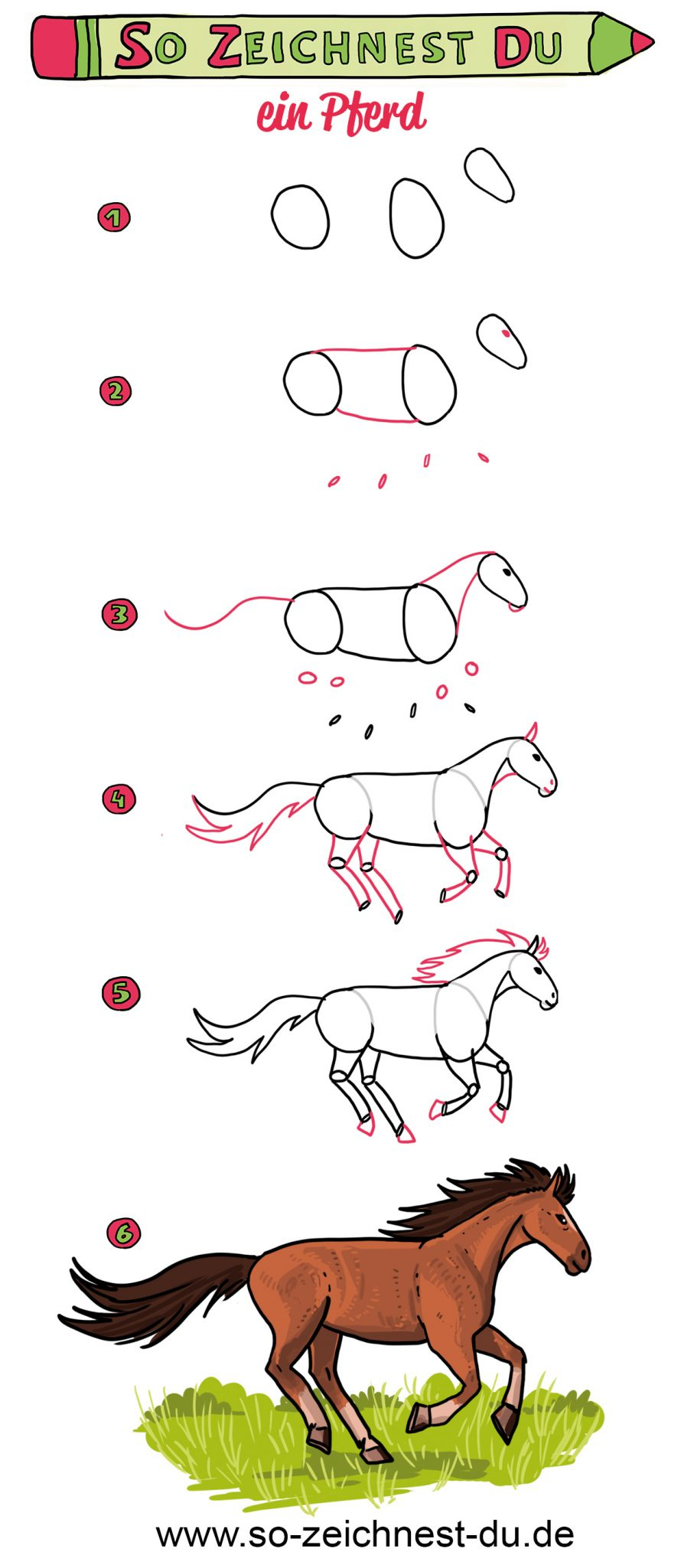 So Zeichnest Du Ein Pferd - Ganz Einfach Zeichnen Lernen bestimmt für Wie Malt Man Ein Pferd