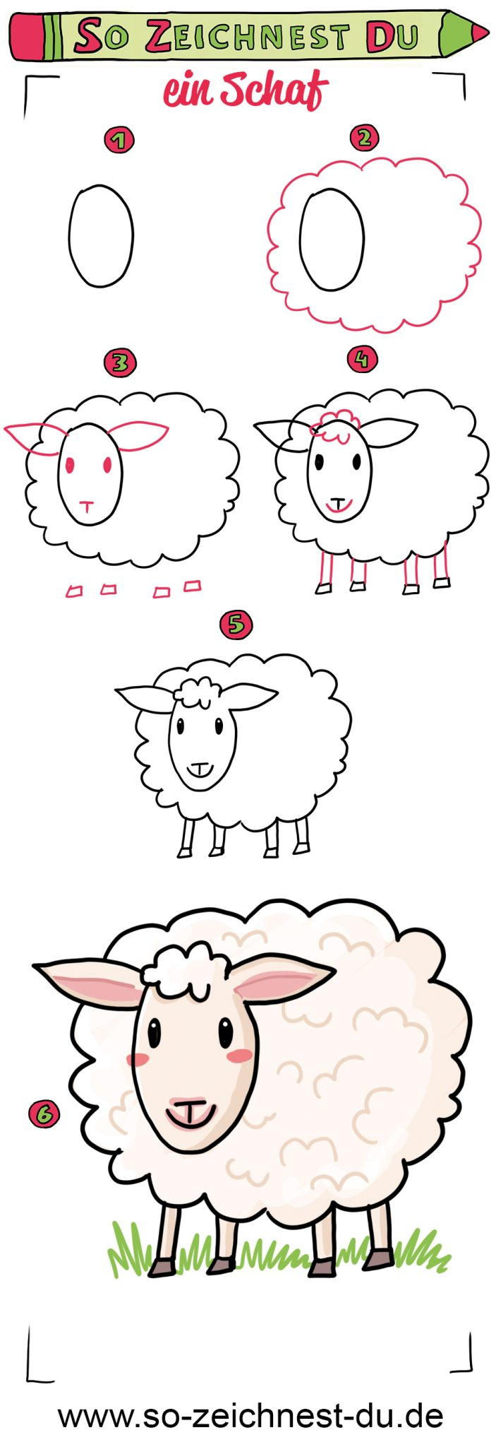 So Zeichnest Du Ein Schaf (Einfach) - So Zeichnest Du für Schaf Malen