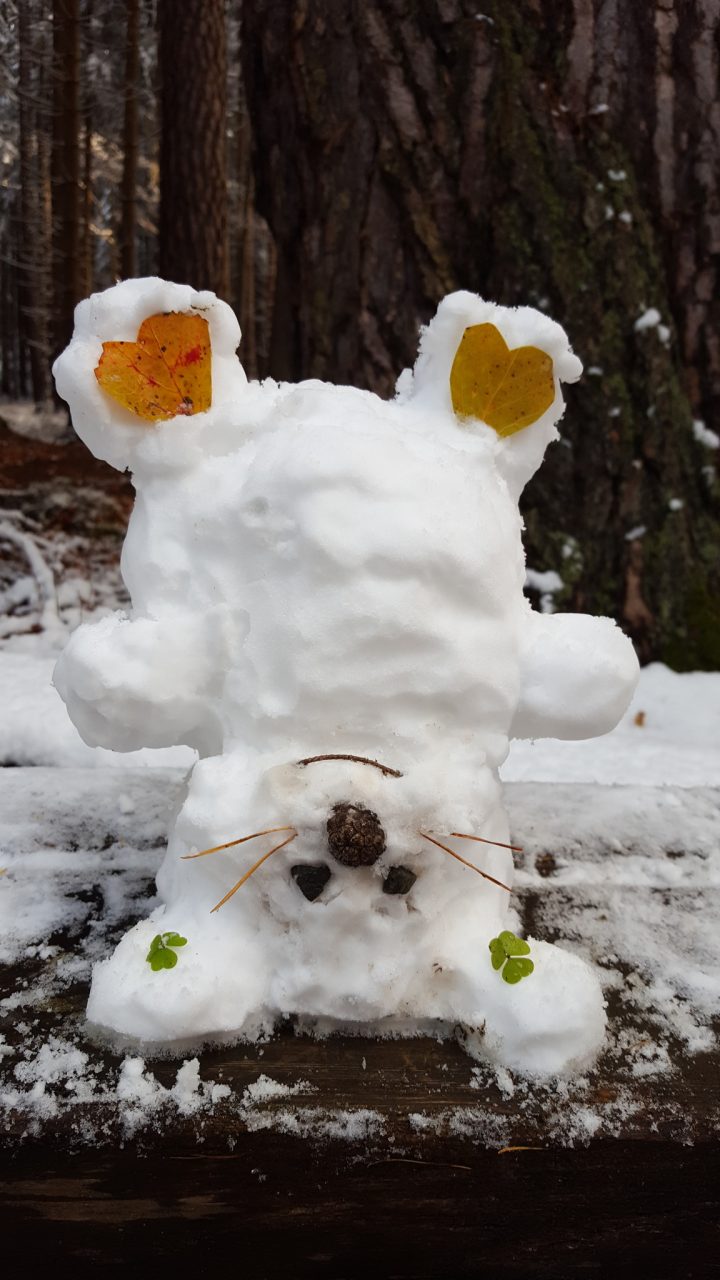 Spaß Im Schnee - Innsbruck in Schneebilder Lustig