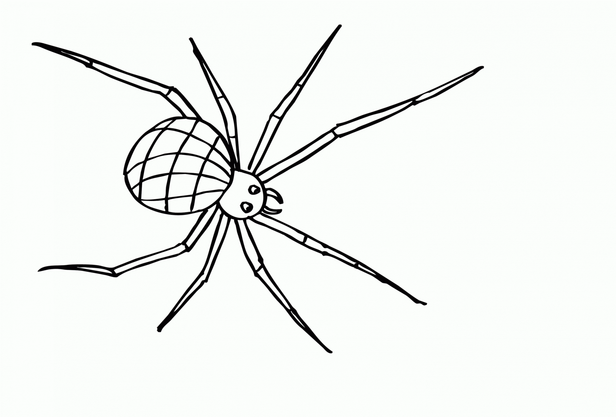 Spinne Ausmalbilder | Ausmalen, Ausmalbilder, Ausmalbilder verwandt mit Ausmalbild Spinne