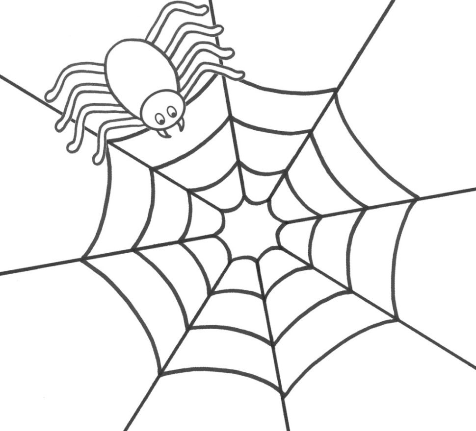 Spinne Ausmalbilder | Ausmalen, Ausmalbilder, Spinnennetz in Ausmalbild Spinne