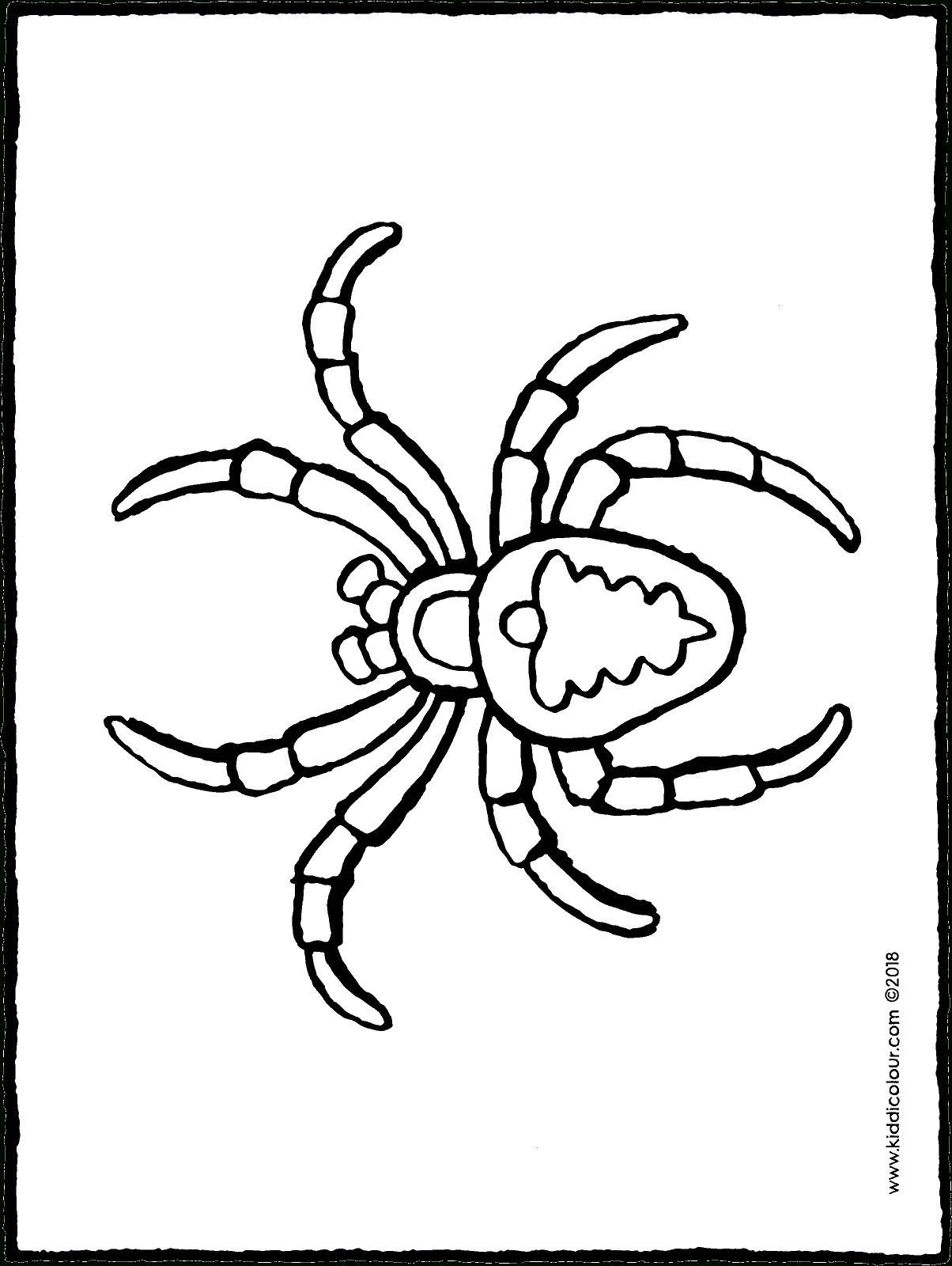 Spinne - Kiddimalseite in Ausmalbild Spinne