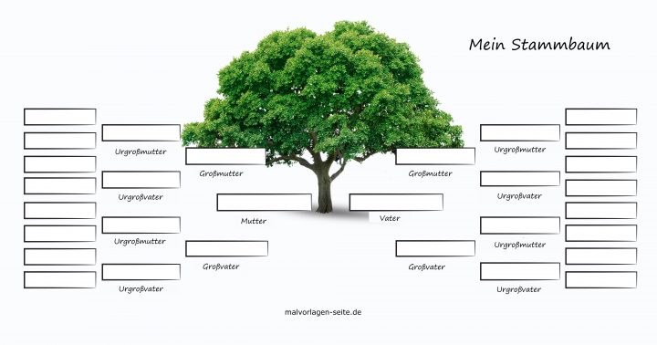 Stammbaum Vorlage - Woher Stammt Meine Familie? bei Malvorlage Stammbaum