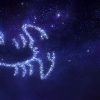 Sternzeichen Skorpion: Typische Eigenschaften Und Charakter bestimmt für Skorpion Sternzeichen Bilder