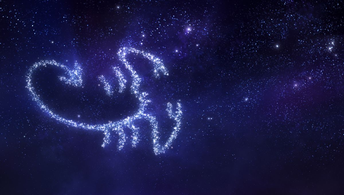 Sternzeichen Skorpion: Typische Eigenschaften Und Charakter bestimmt für Skorpion Sternzeichen Bilder